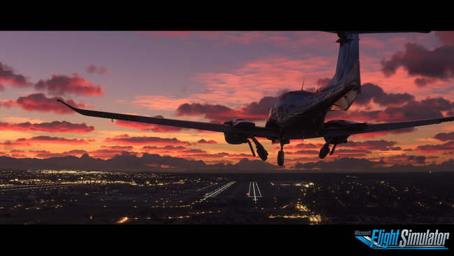 MS-Flight (3)